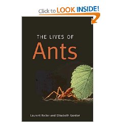 41XIzqYOGLL._BO2,204,203,200_PIsitb-sticker-arrow-click,TopRight,35,-76_AA240_SH20_OU01_