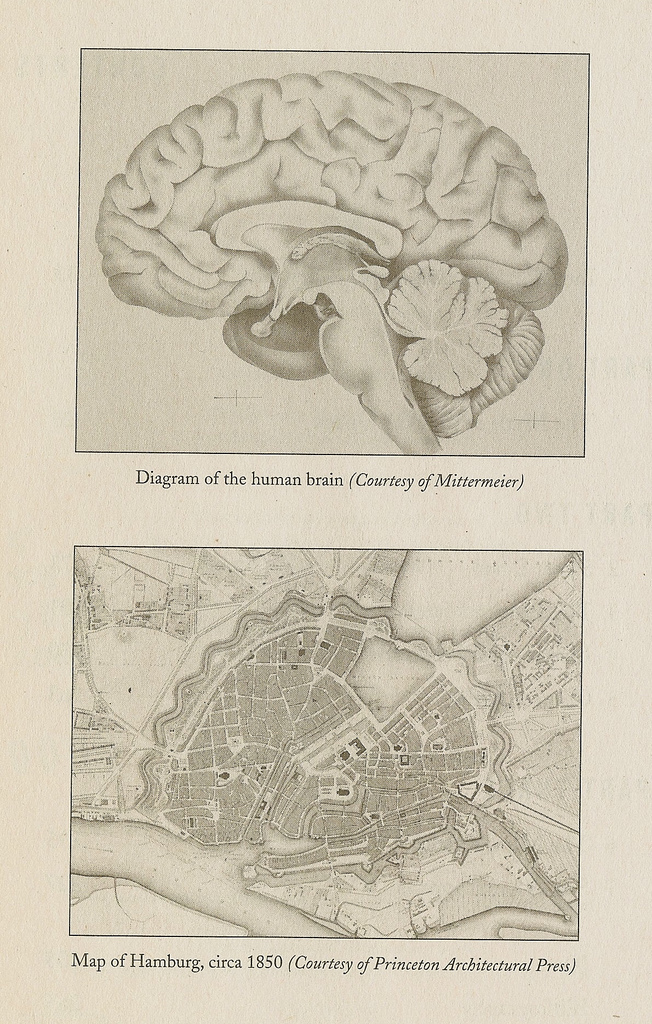 235238451_113b4b6d00_b