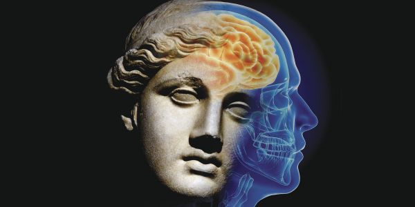 photo_56645_wide_large