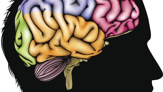 how-to-create-better-research-solutions-with-behavioral-data-640x360