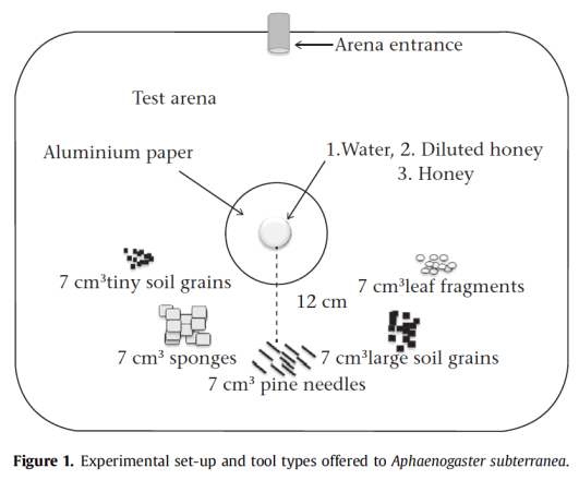 screen-shot-2017-01-09-at-8-20-58-am